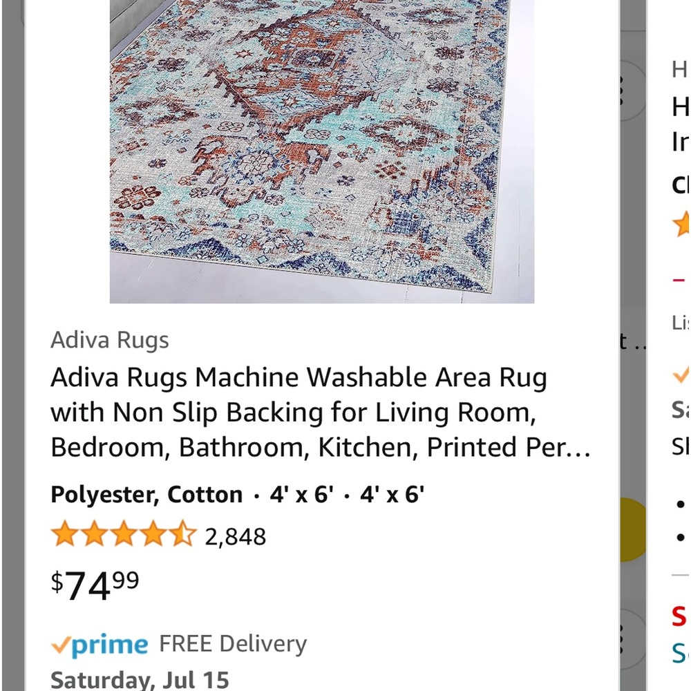Area rug bought from Amazon,